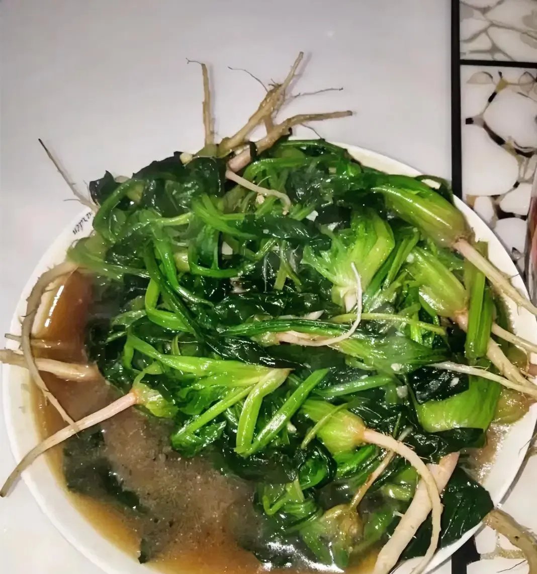 菠菜为什么要焯水