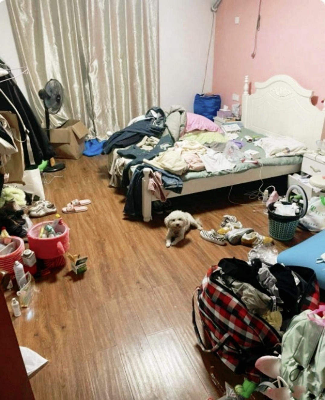 房子租给了一个漂亮的小姑娘,我原本以为不会有什么问题