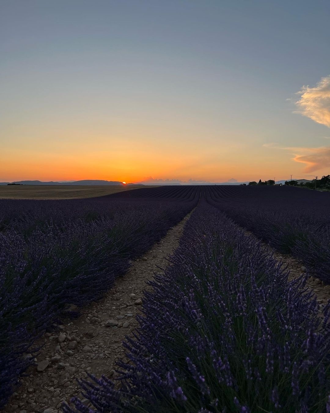 普罗旺斯的风景十分优美,是古希腊,古罗马时代就吸引着无数游人, 而最