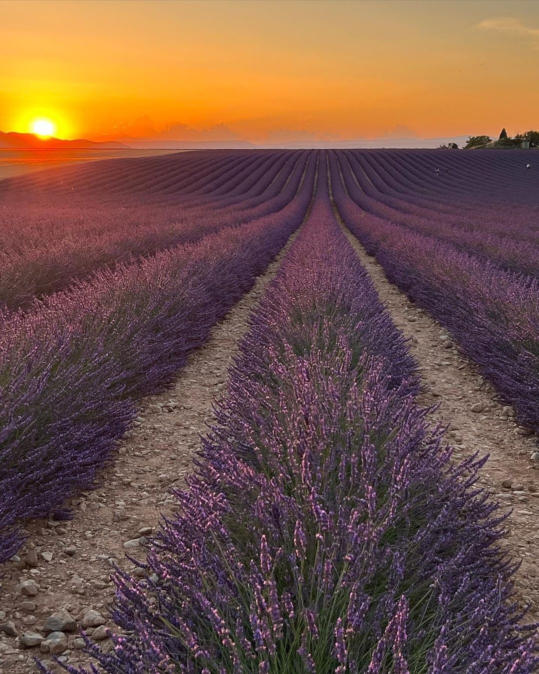 普罗旺斯的风景十分优美,是古希腊,古罗马时代就吸引着无数游人, 而最