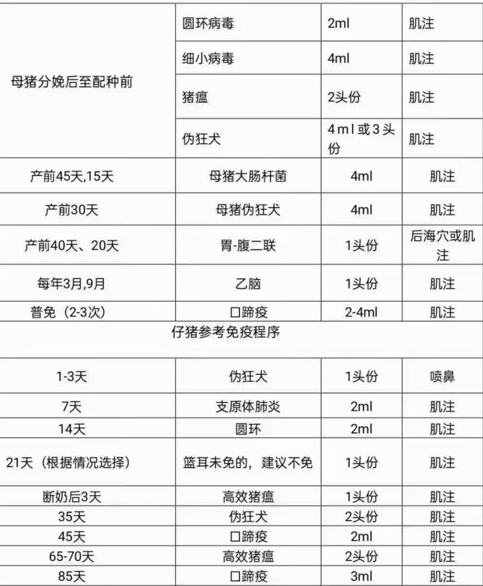 猪场常见病免疫程序