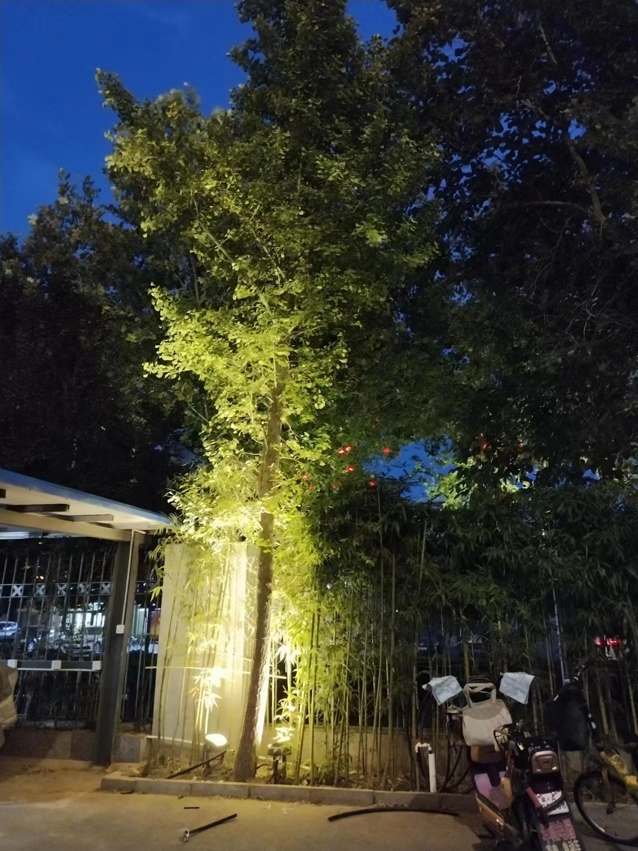 项目名称:石家庄麒麟中学建筑亮化,景观照明工程案例 项目甲方:石家庄