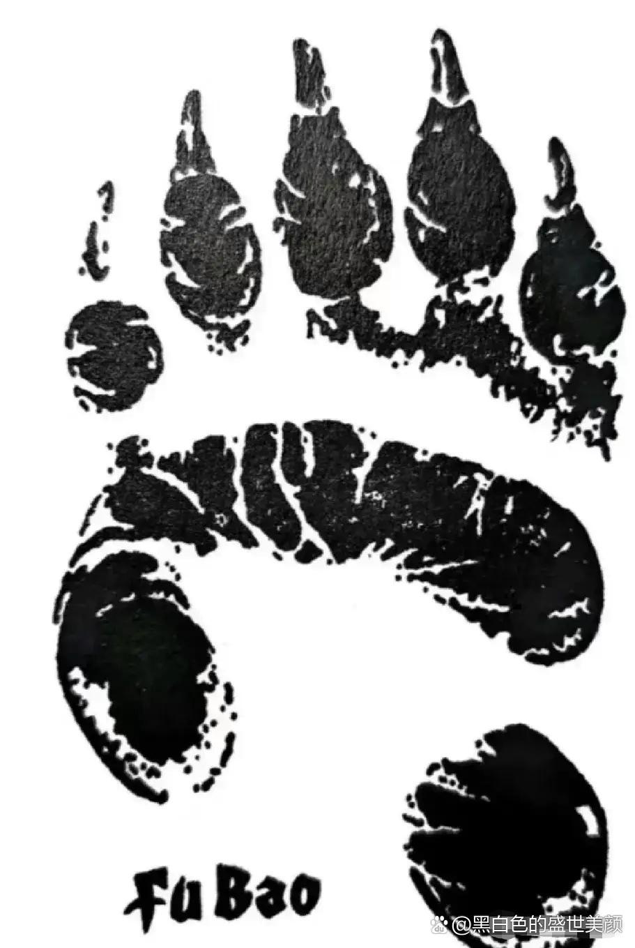 这个章是福宝一岁左右的手掌印🐻 熊猫世界基本所有纸制品都会盖