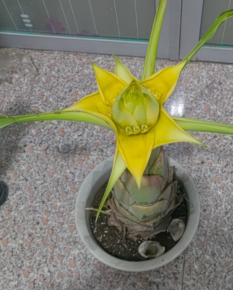 我经常看视频,意思是女人多么的不容易,得好好对她