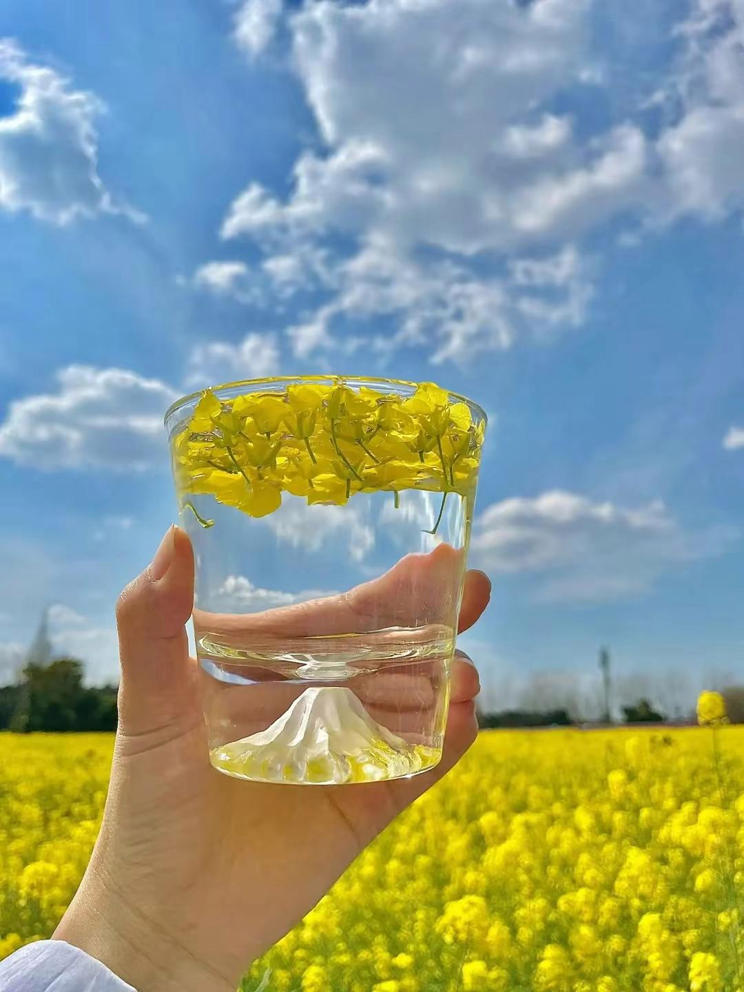 春天里的油菜花女孩头像 | 杯子里的油菜花壁纸背景图 79#花# #头像
