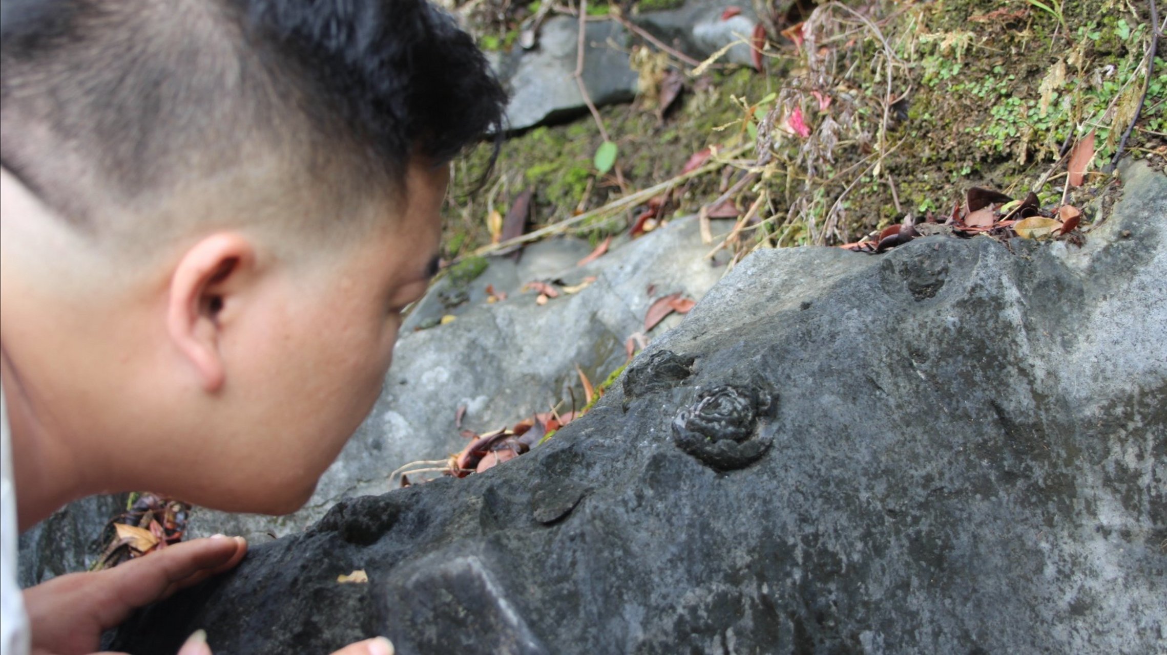 广西壮族自治区河池市都安瑶族自治县洪度村石头开花