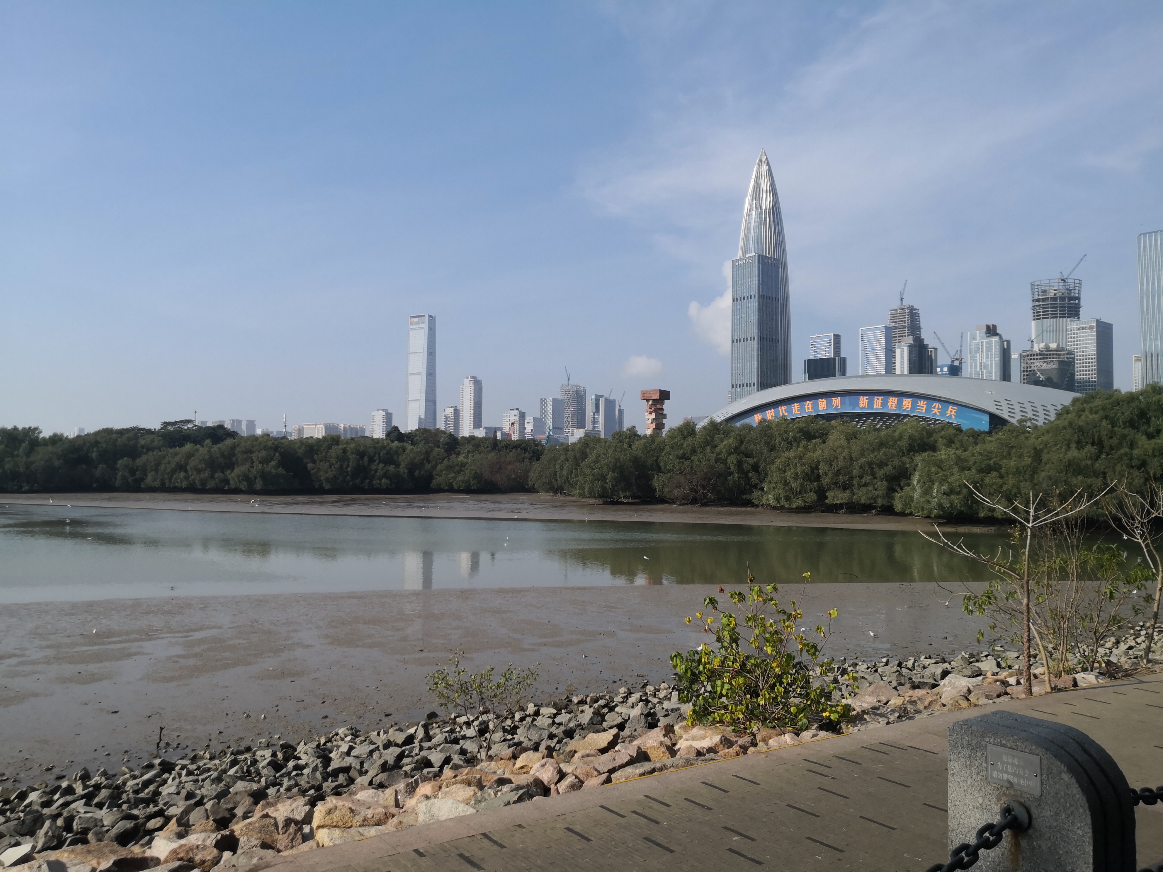 初六早晨的深圳湾公园