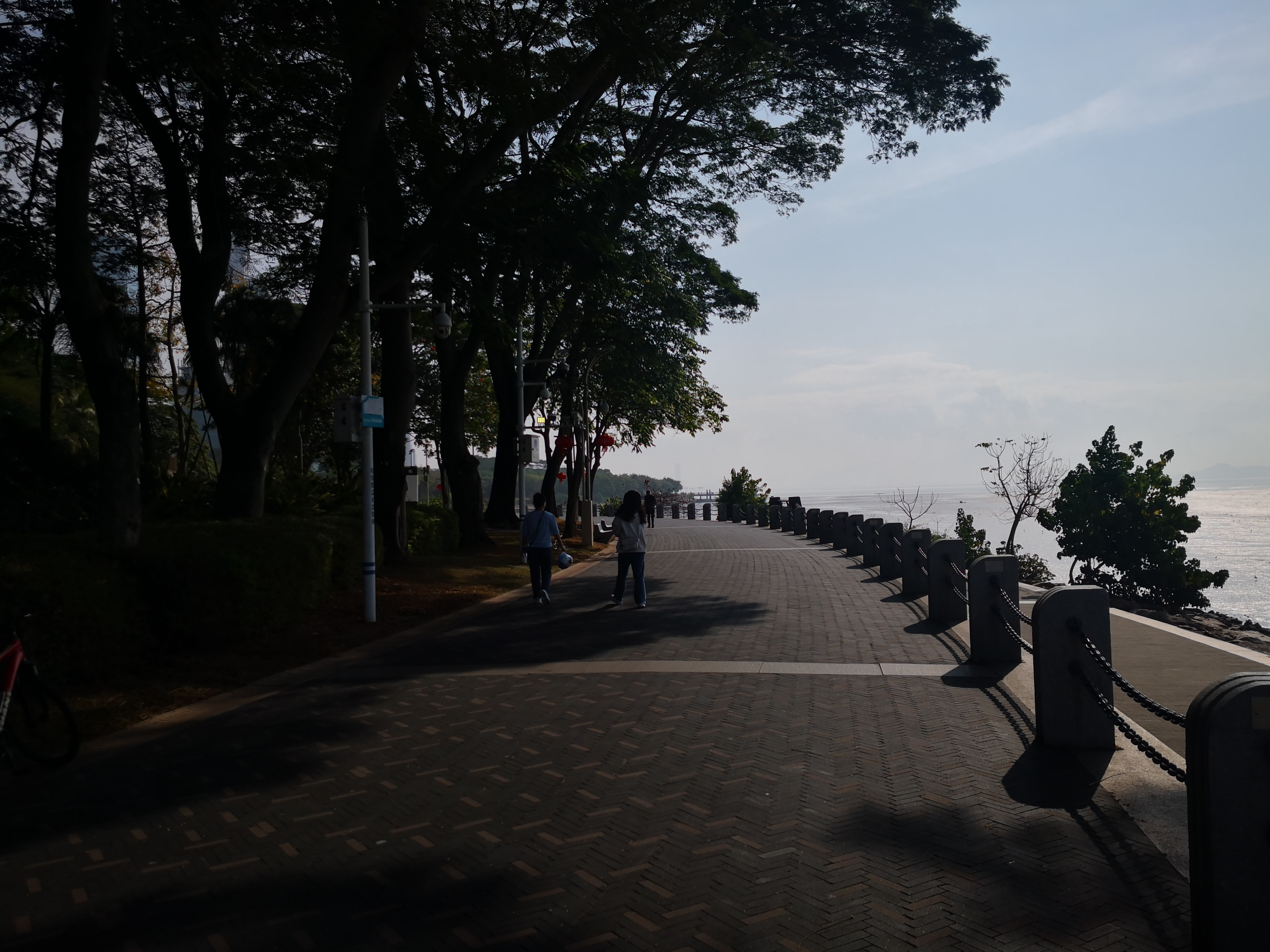 初六早晨的深圳湾公园