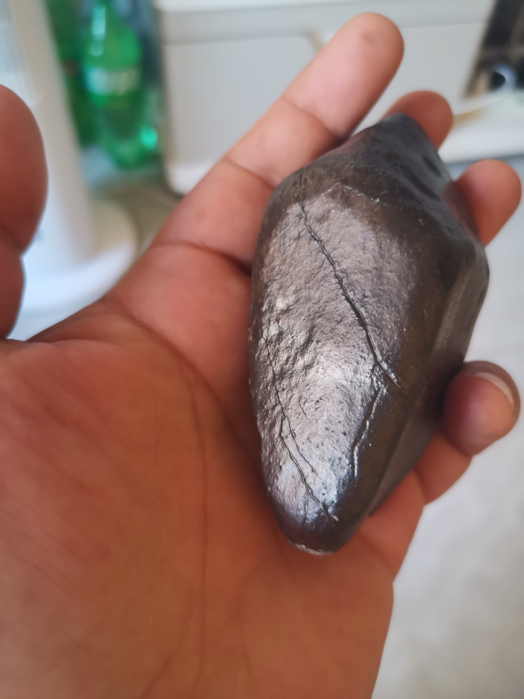 一块新鲜的石铁陨石,中磁