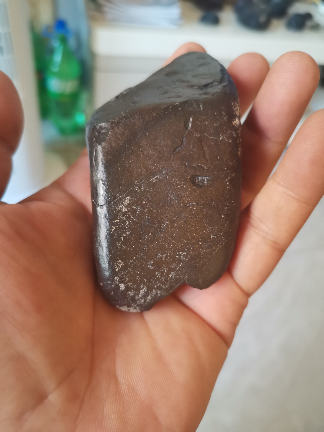 一块新鲜的石铁陨石,中磁