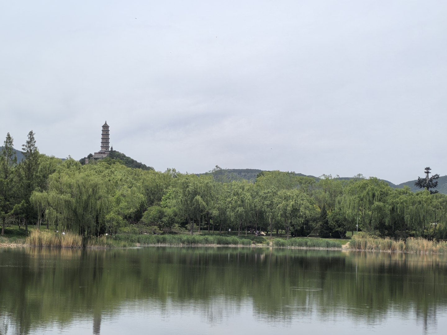 我的五一假期故事#北坞公园,观玉泉山塔影好去处