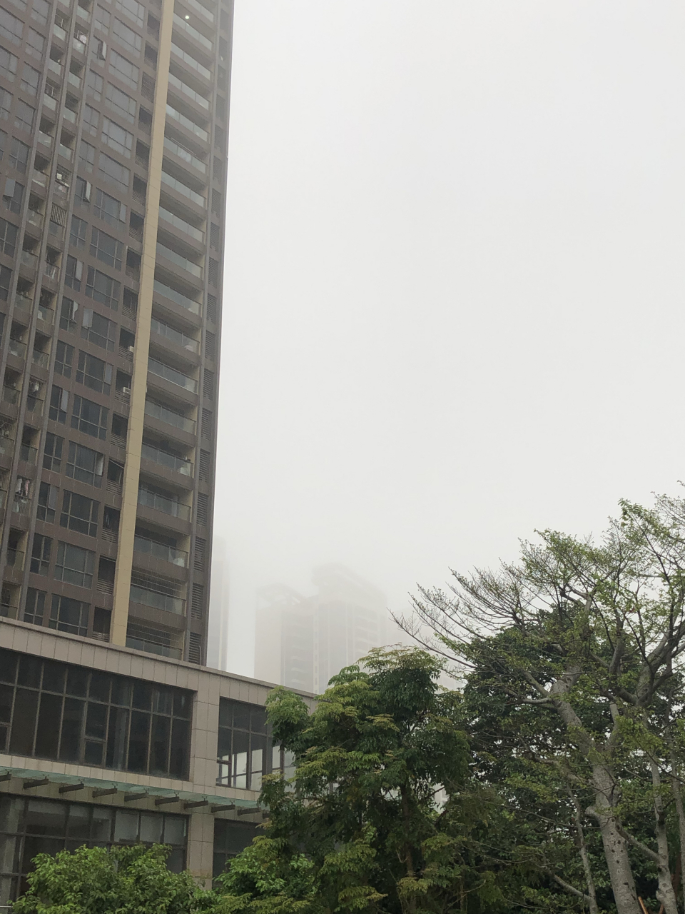 这几天湛江的天气,让我又一种再次来到雾都的感觉