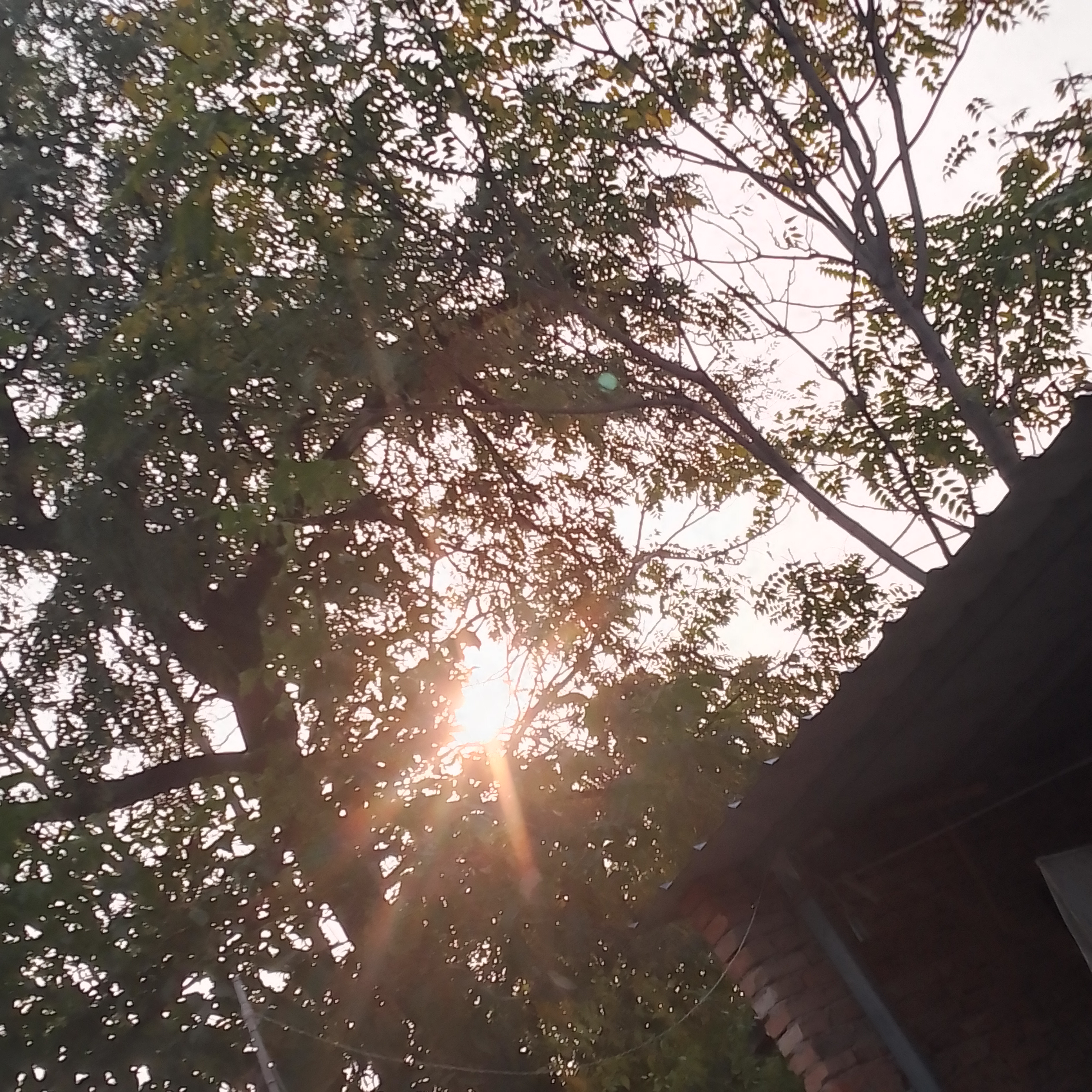 hello新人快报哦,我是你们的那点,我也是快手转来的.