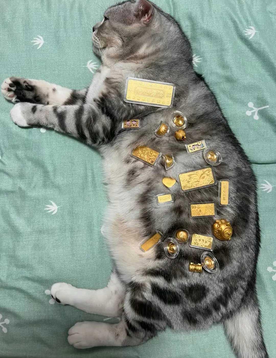 我家的猫咪是财迷,看给我家儿子准备的金件,它也吵着要,这是给它的