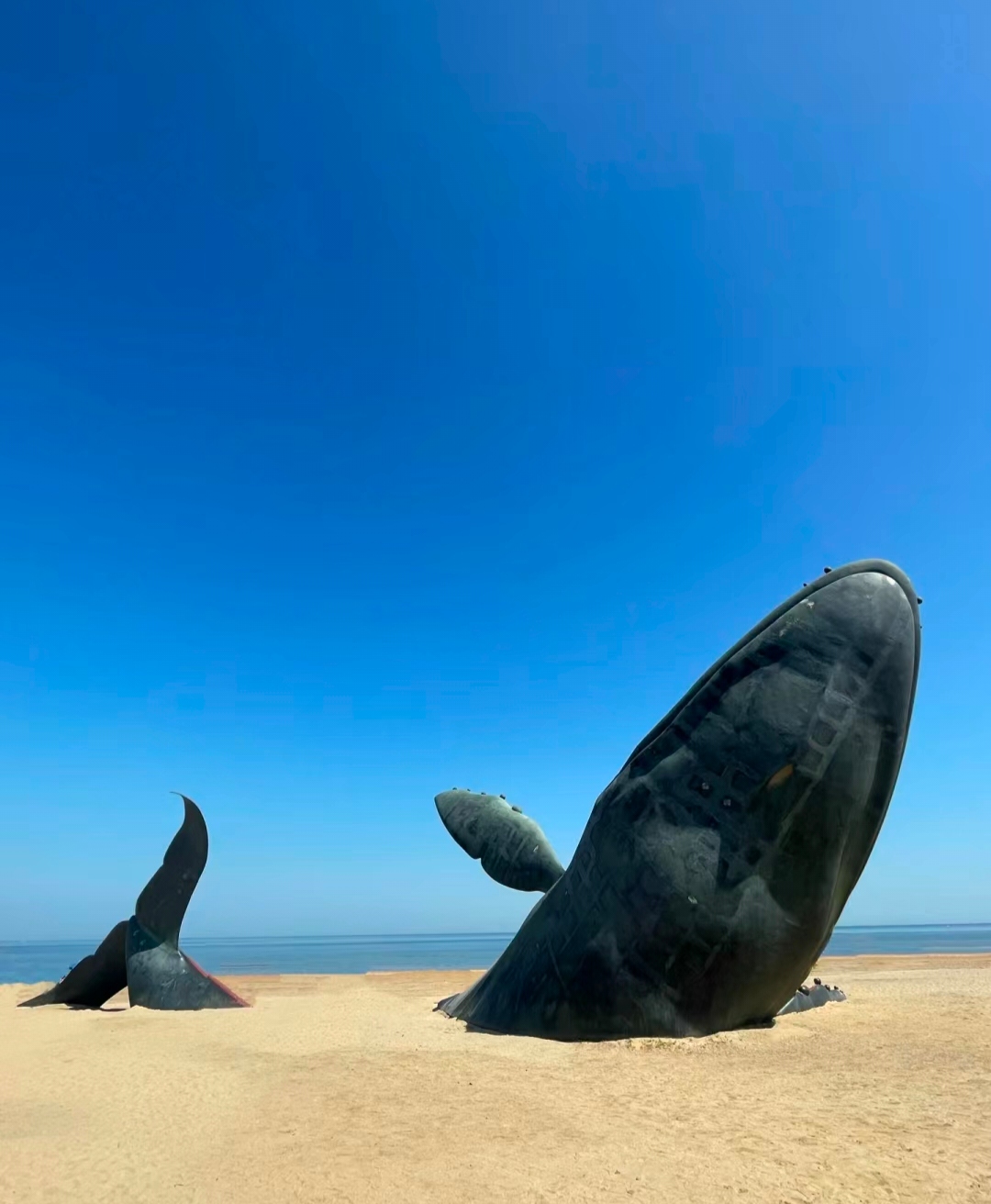 & 烟台风情游99  早晨98,首先来到"孤独的鲸"雕塑,位于金沙滩城市