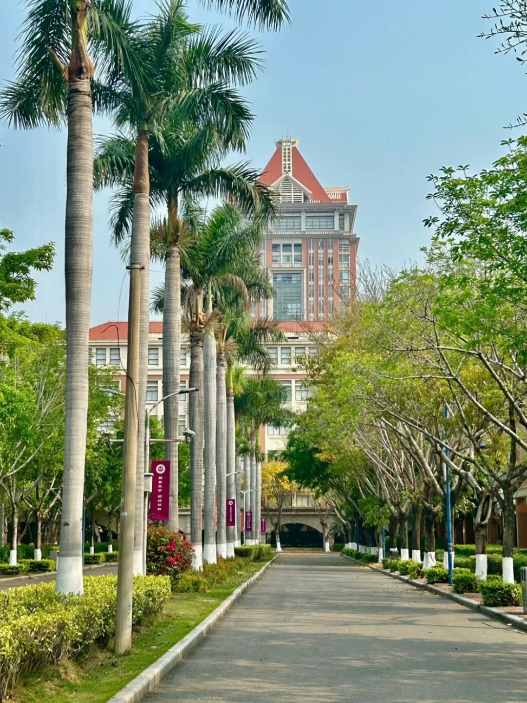 虽然集美大学不