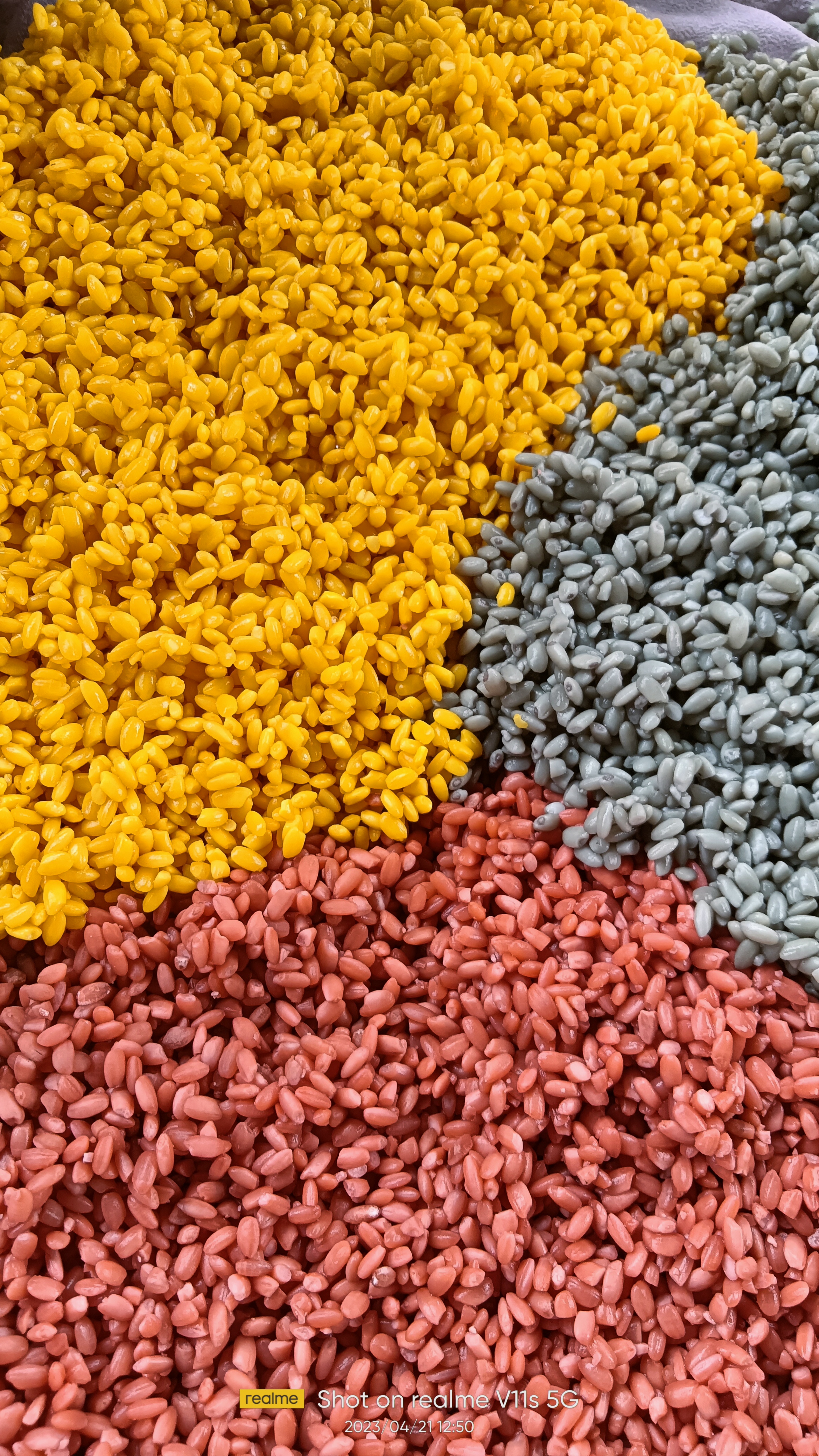 海南三月三,三色糯米饭.刚上锅蒸.