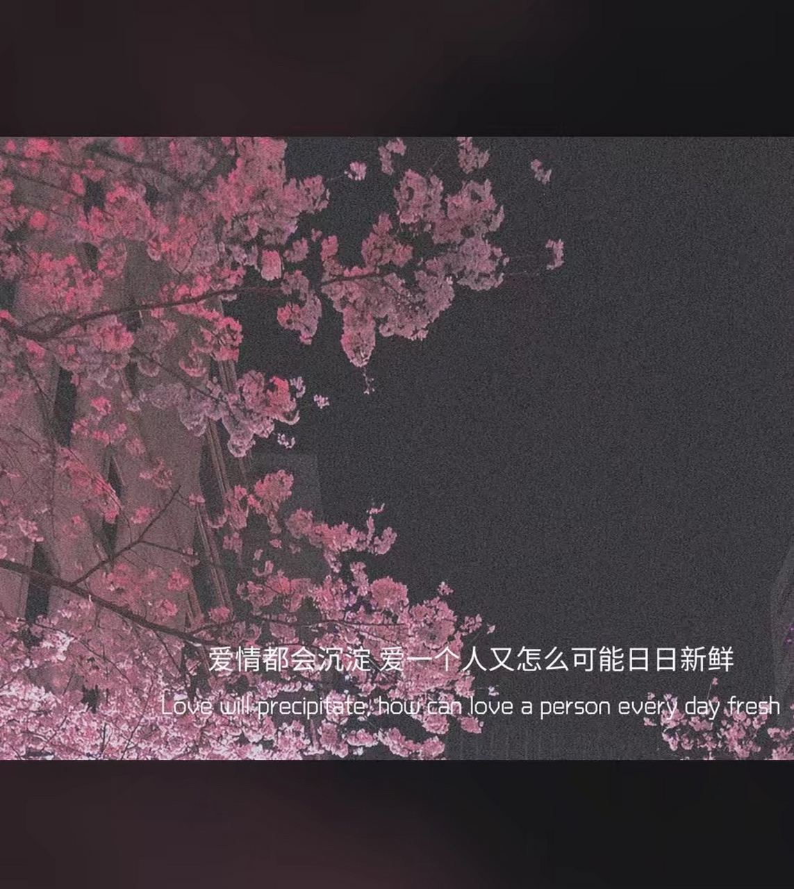 世间还没给你的温柔都在路上,慢慢来 别急