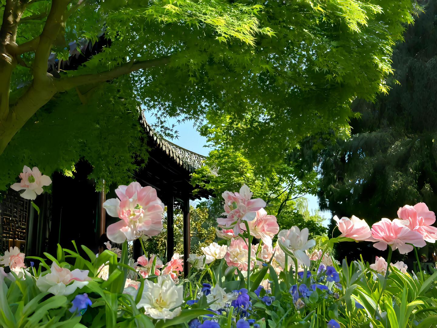 绿色系生命力ipad电脑壁纸