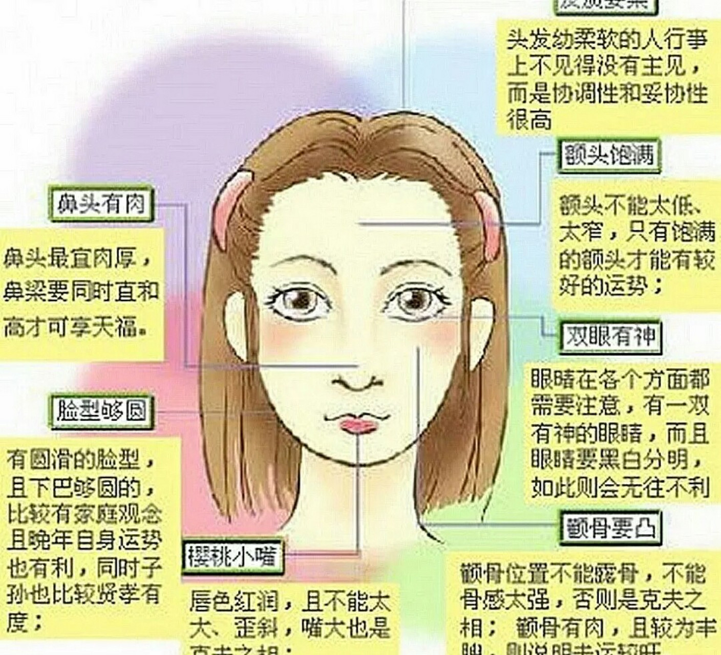 女人的鼻子面相图片