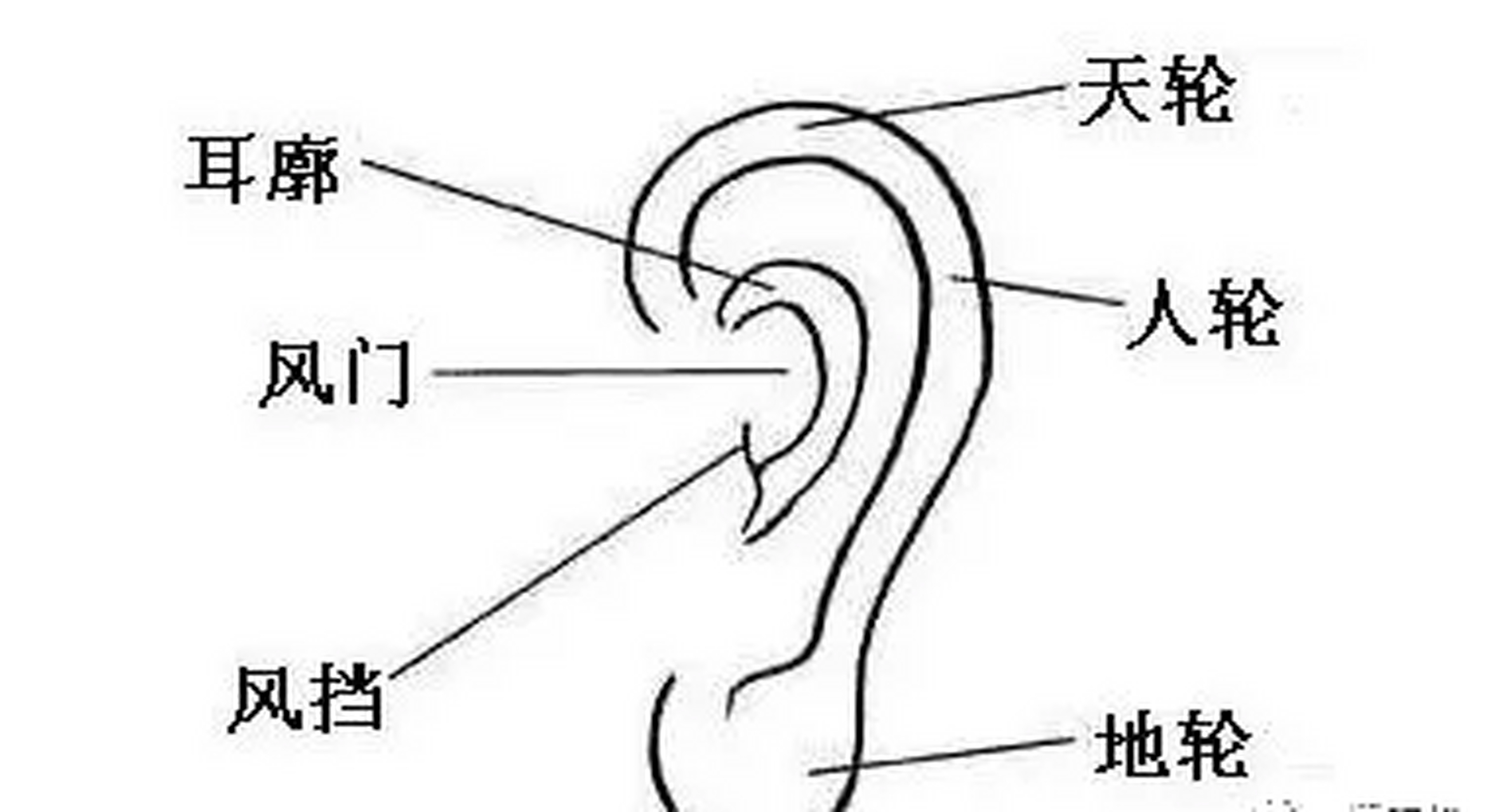 02 耳朵  九种耳朵面相分析  耳朵内廓外突,相学上称为轮飞廓反