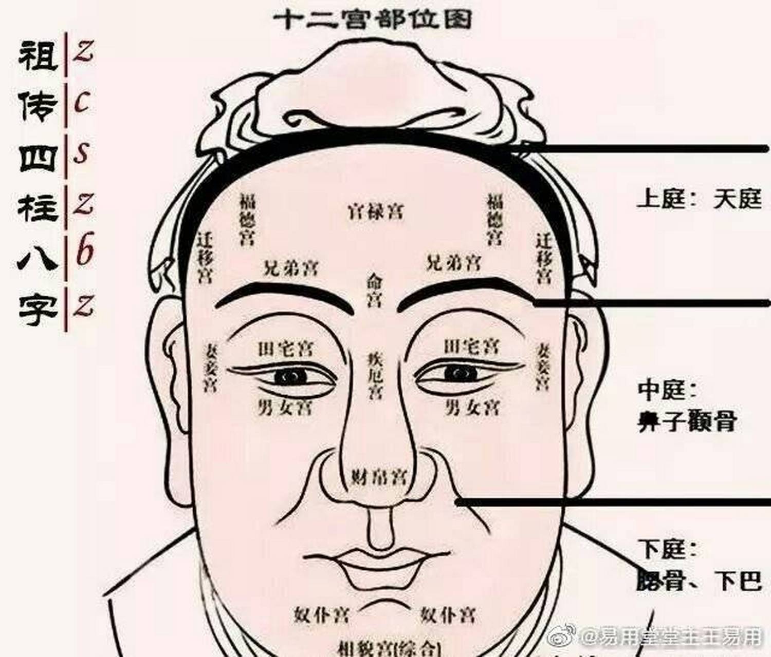 面相位置图片