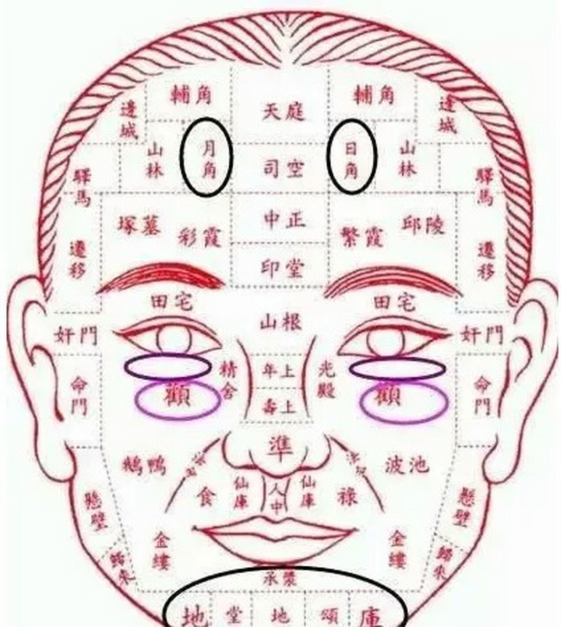 两句话道尽了额头与印堂是怎么影响一个人一生的富贵荣华,从这两句话