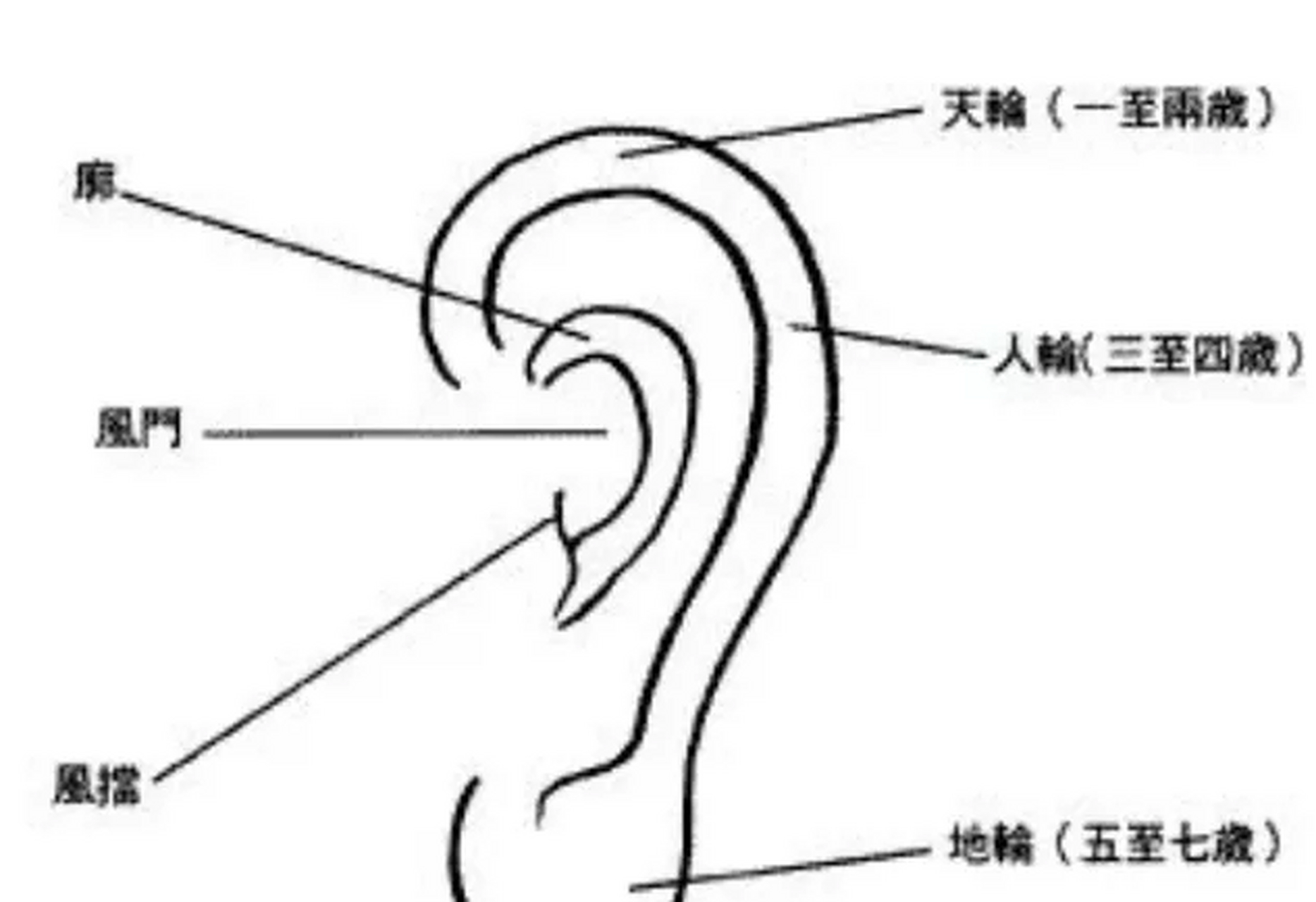 耳廓凹陷面相图片