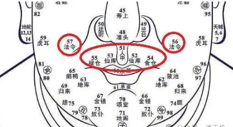 面相三阳在哪个位置图图片