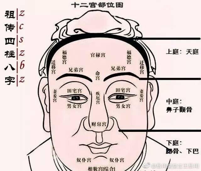 面相九骨  01天庭骨隆起 高耸