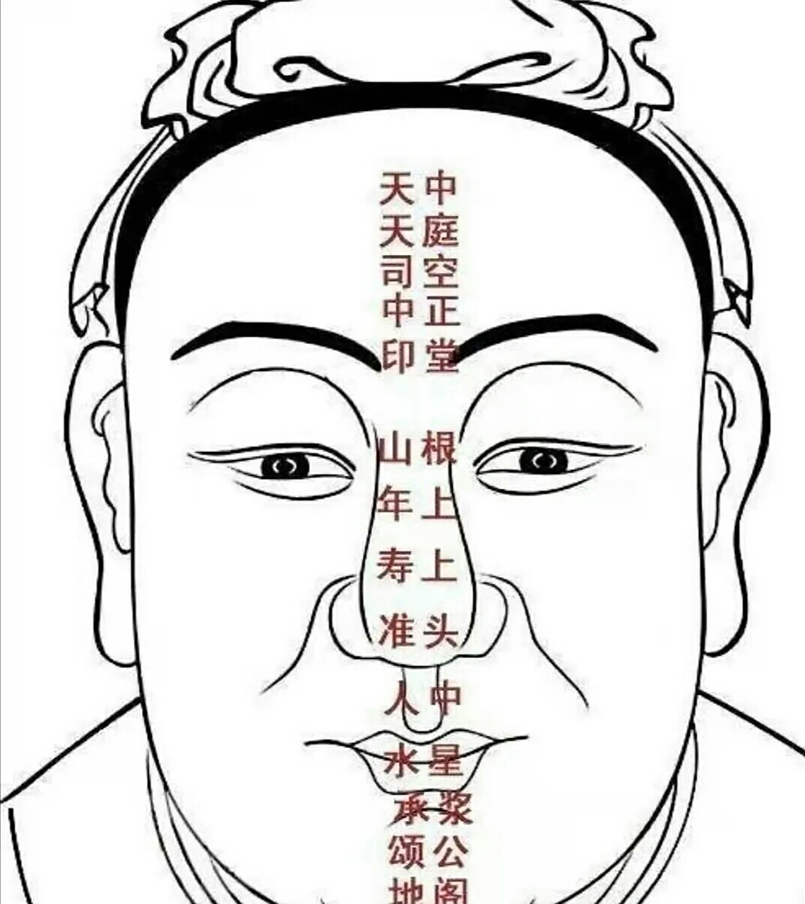 命理风水研究小组#面相解析毛发论吉凶  2,前不遮额,后不压颈,指的是