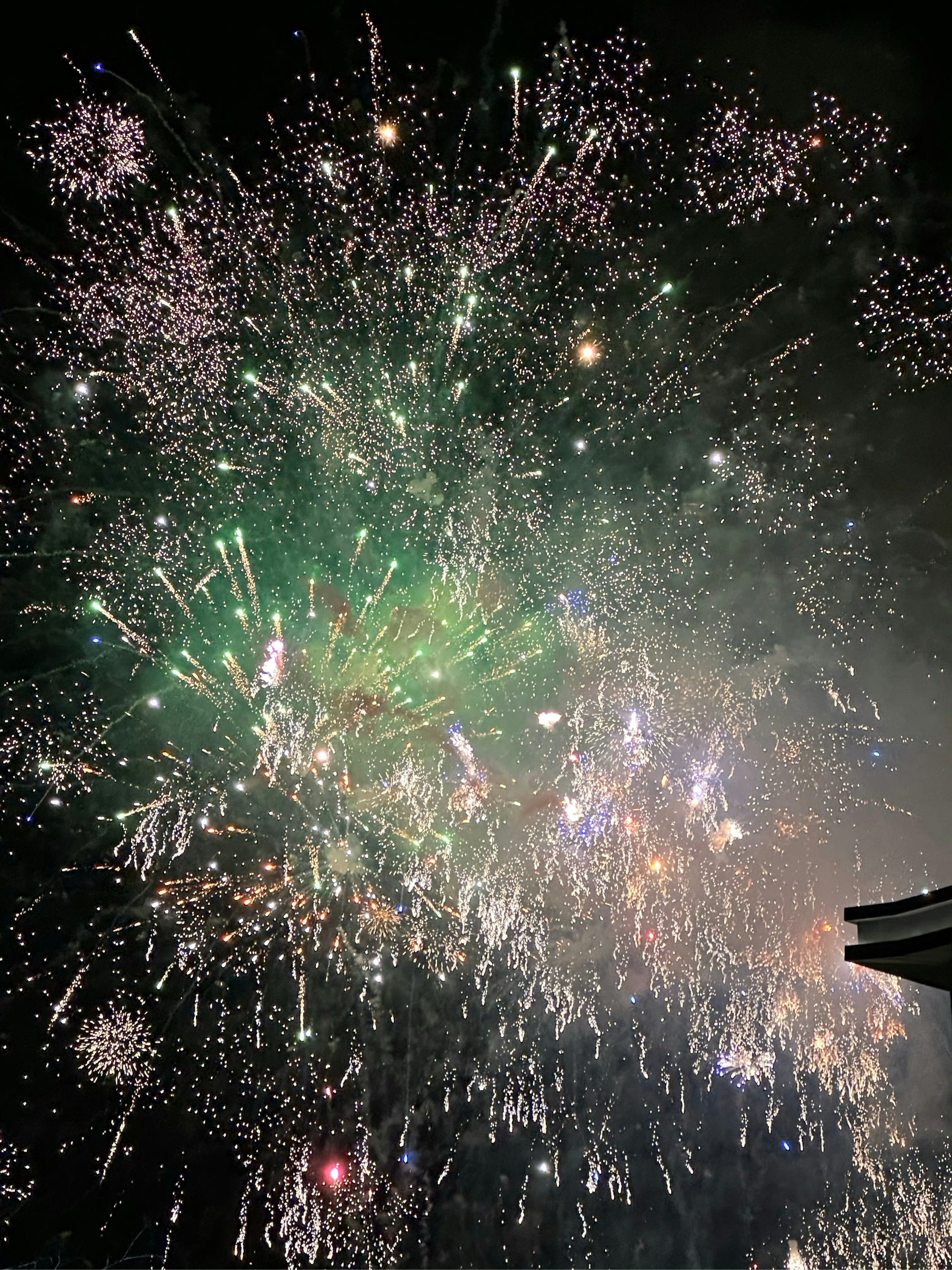 在夜空中绽放,惊艳你的双眼!