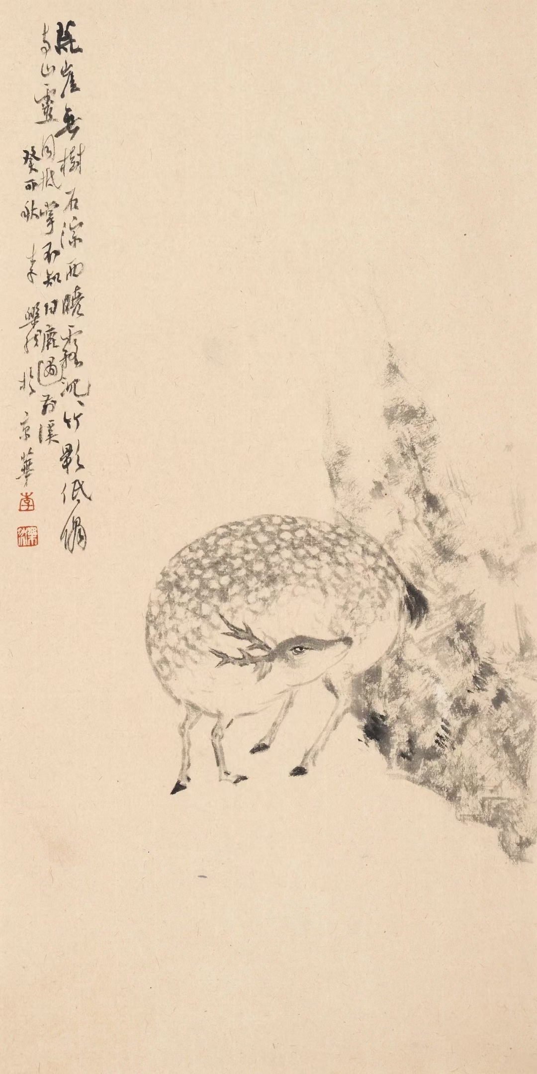 李乐然 1987年生于甘肃静宁.