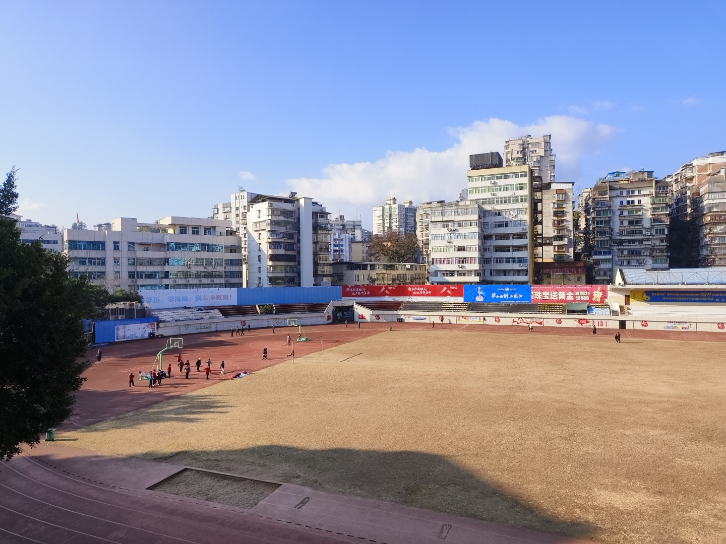 今天1月27日,龙年的倒数第2个日子,走在大街上,节