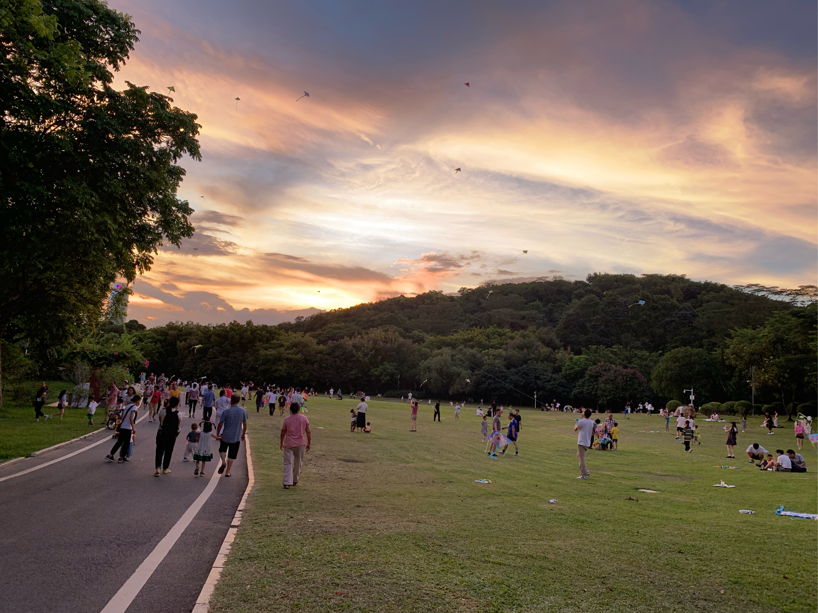 莲花山风筝广场图片