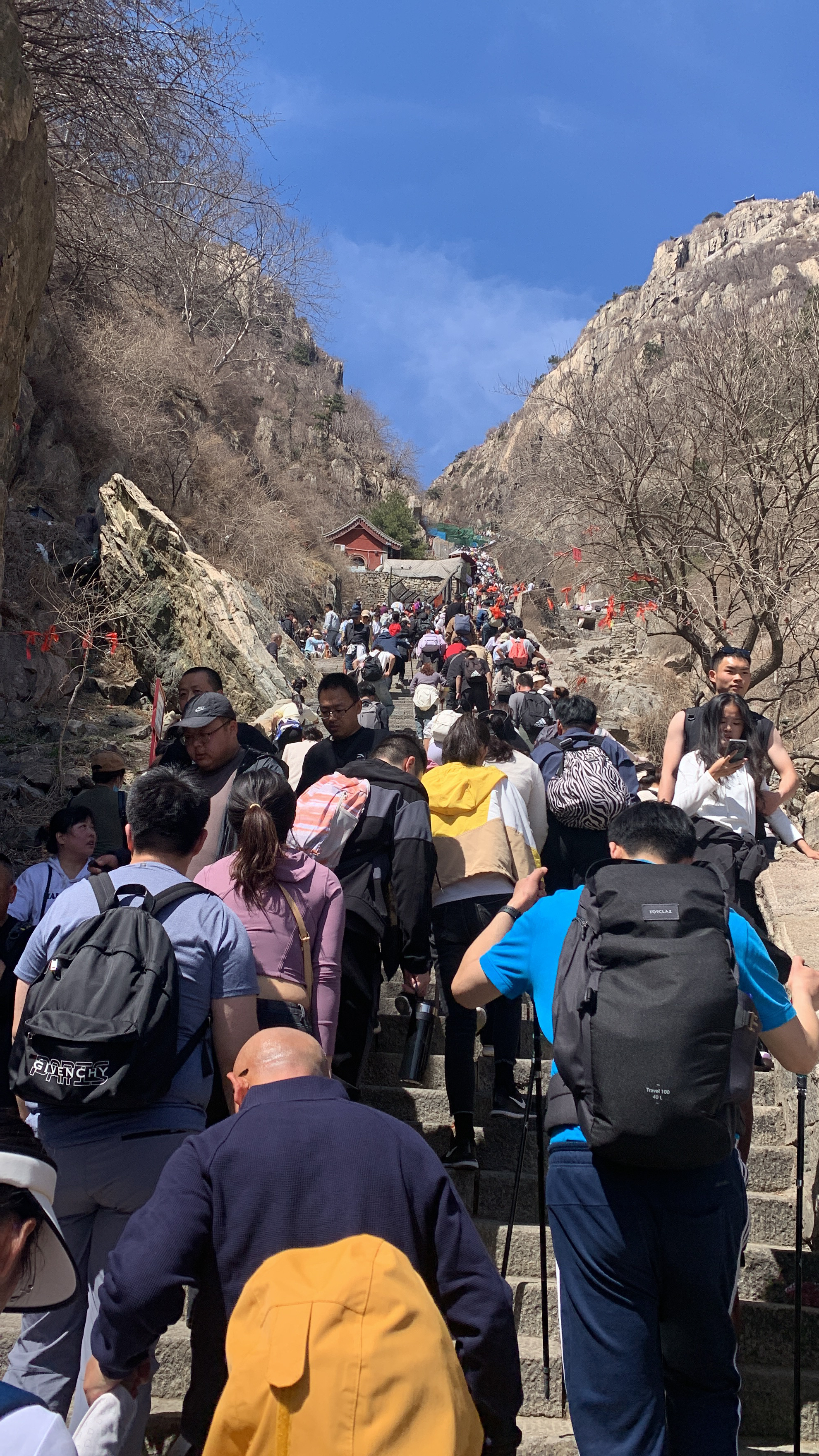 泰山旅游真实图片图片