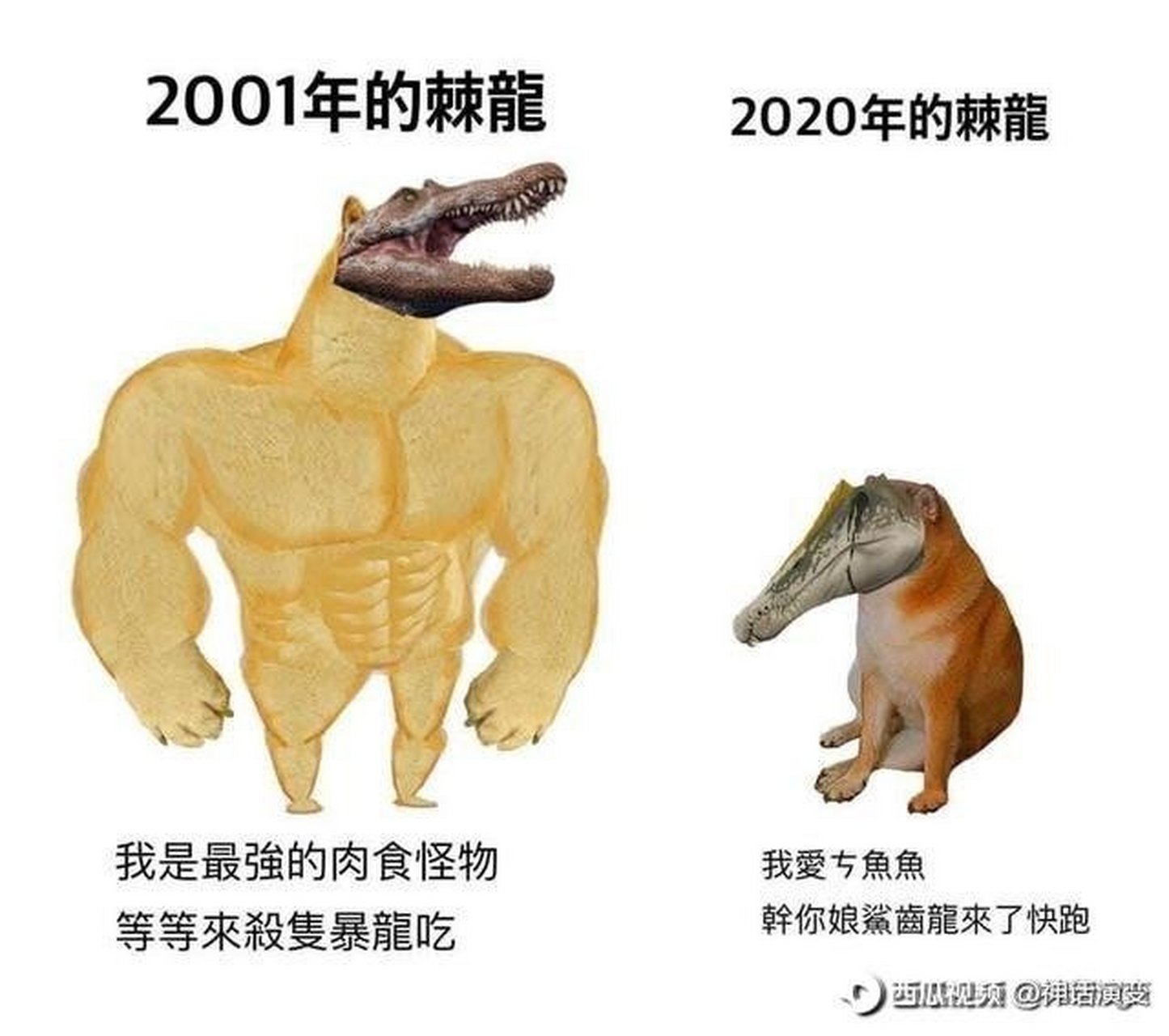 从前的棘龙:捏死霸王龙,拍死鲨齿龙,脚踩巨兽龙,无敌是多么寂寞~ 现在