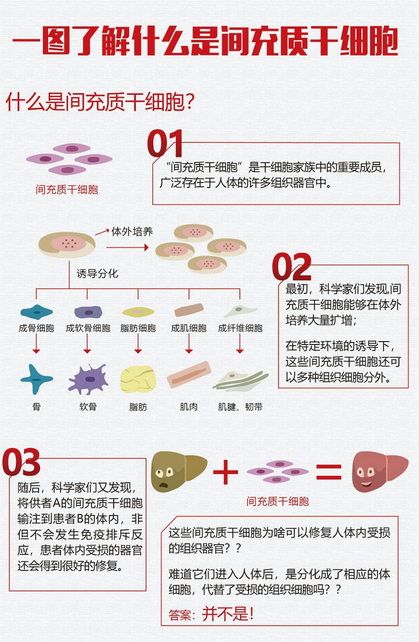 间充质干细胞如今在临床研究应用最为广泛,这里老萧整理了下基础知识