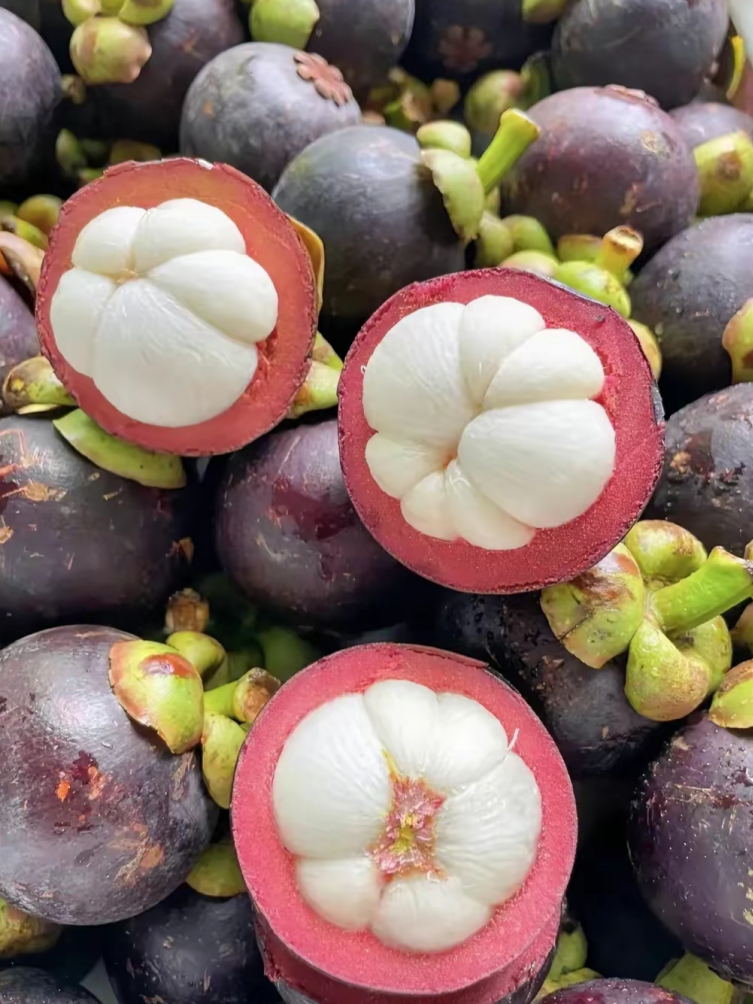 山竹.虽然吃过但是没有看到过它的果树是什么样的?有机会去看看.