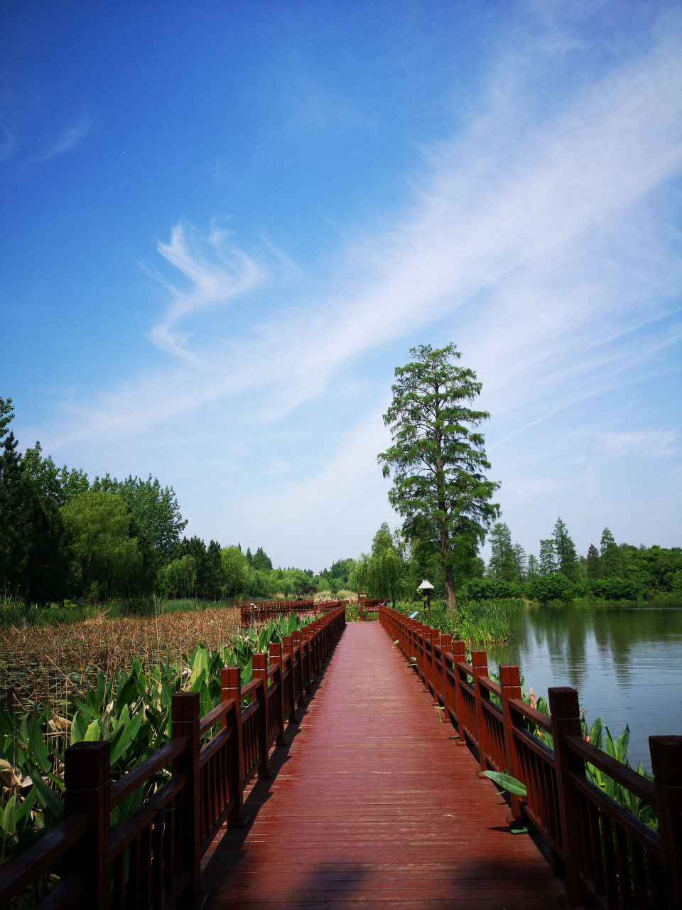 荆州古城小北门外的明月公园