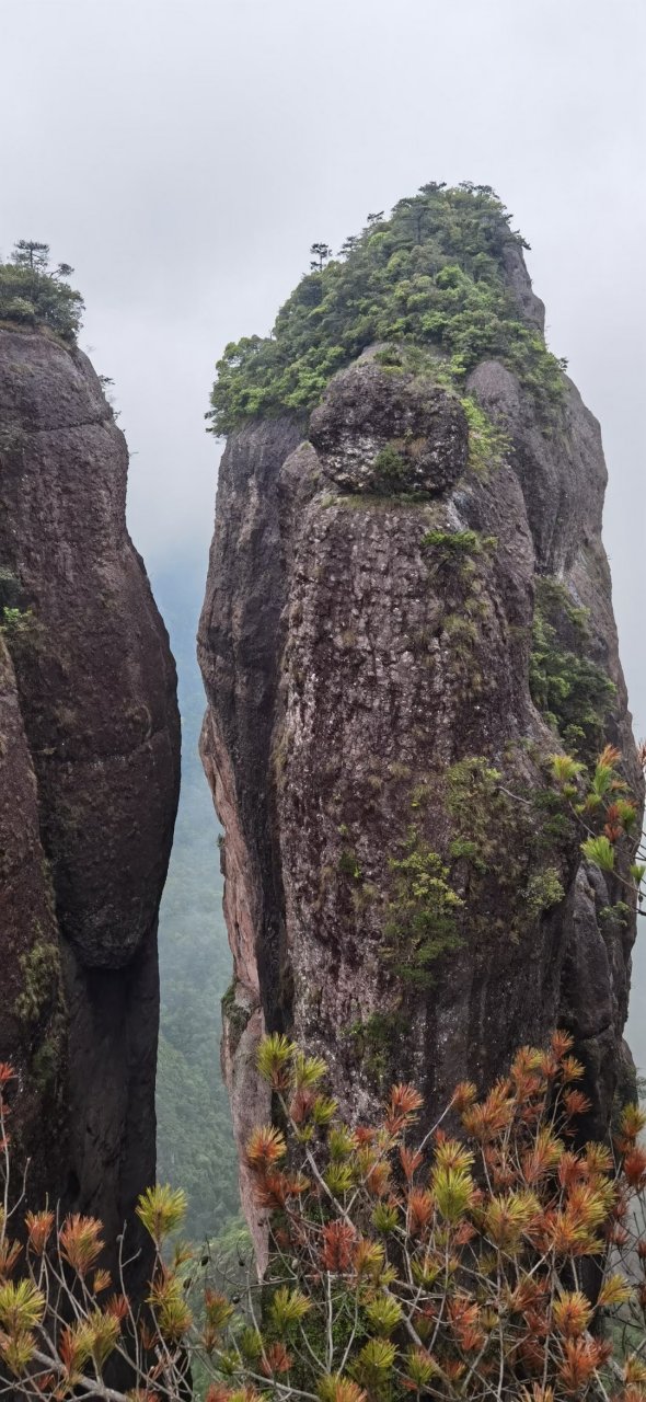 491,音乐  1,华语歌手艾辰《可不可以》