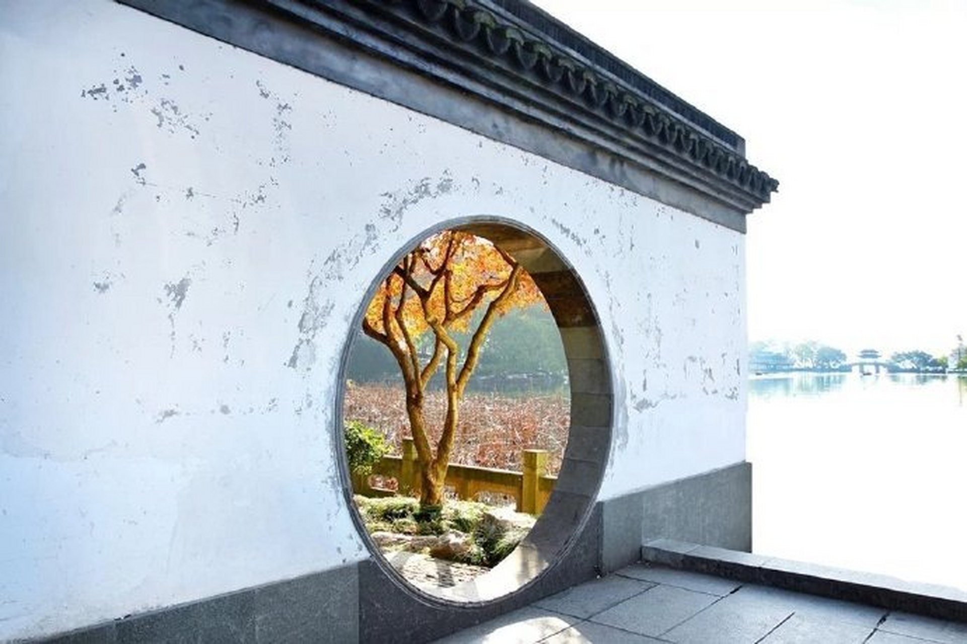 616,音乐  1,《romance de amor》杨雪霏