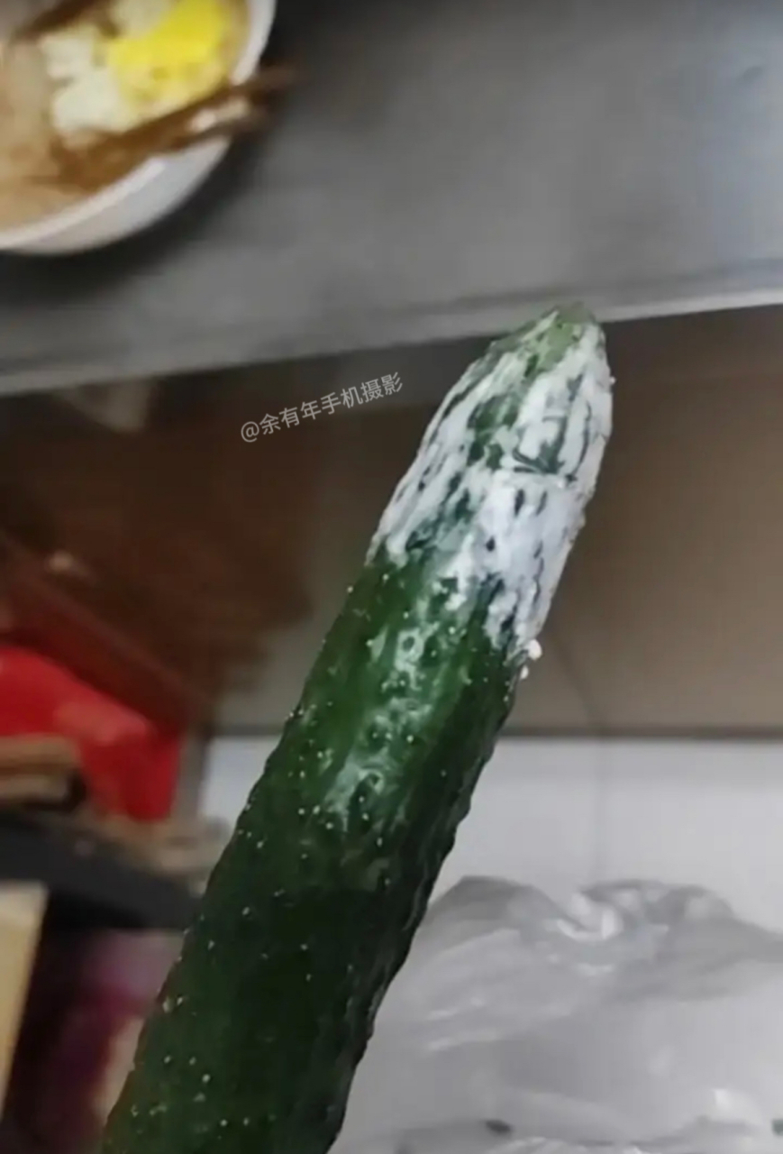 昨天买的黄瓜06,放冰箱里一晚上就发霉了!