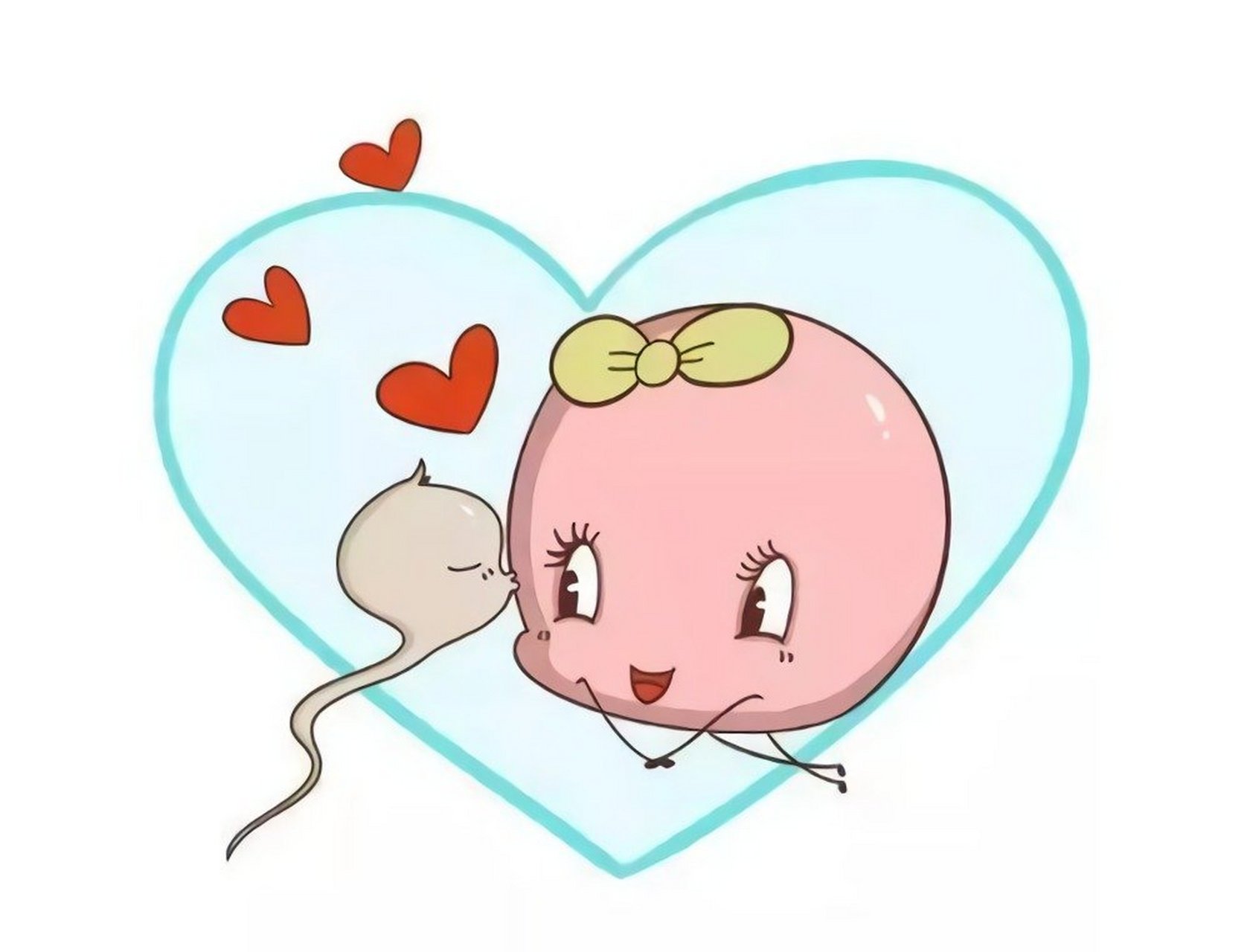 可以避免取卵时出现疼痛3患者取膀胱截石位4人室前常规5% pvp碘擦洗