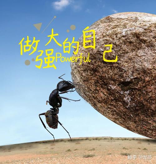逆境中的乐观:**他们面对困难时,总能保持积极的态度,相信每个挑战都