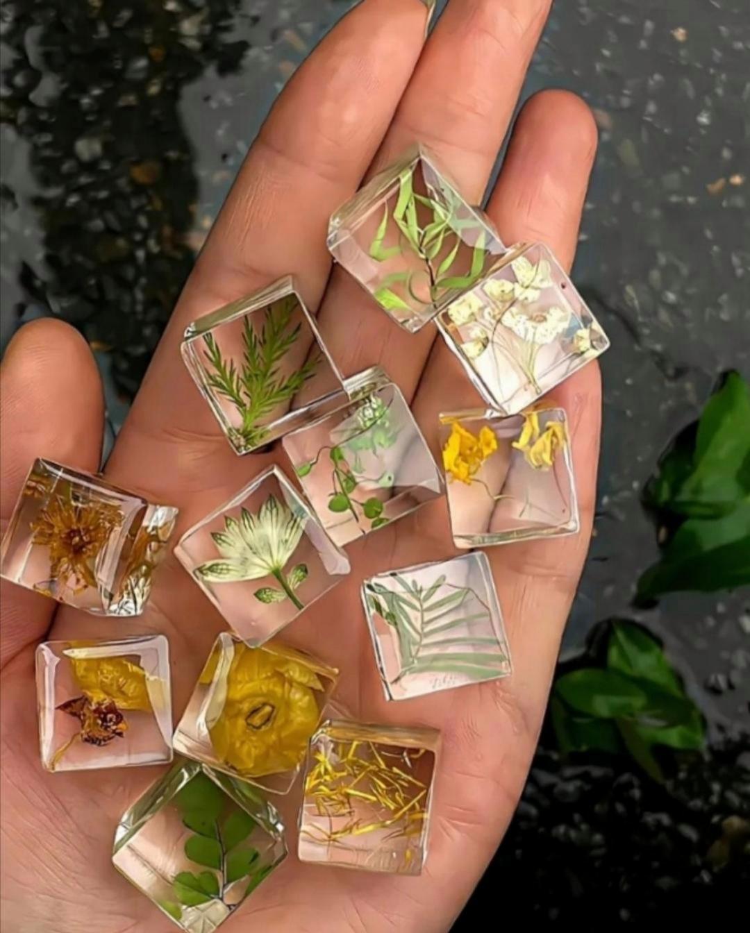 哇哦,这种标本特别像是制作小冰块一样,太漂亮了,树叶看起来特别清亮