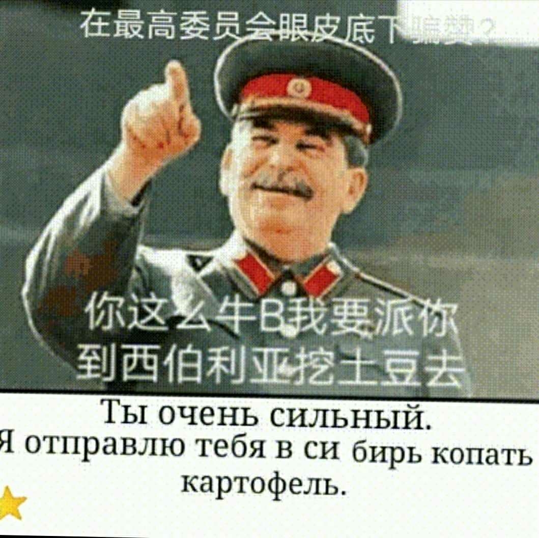 们这么牛b我要派你到西伯利亚挖土豆去 们这么牛b我要派你到西伯利亚