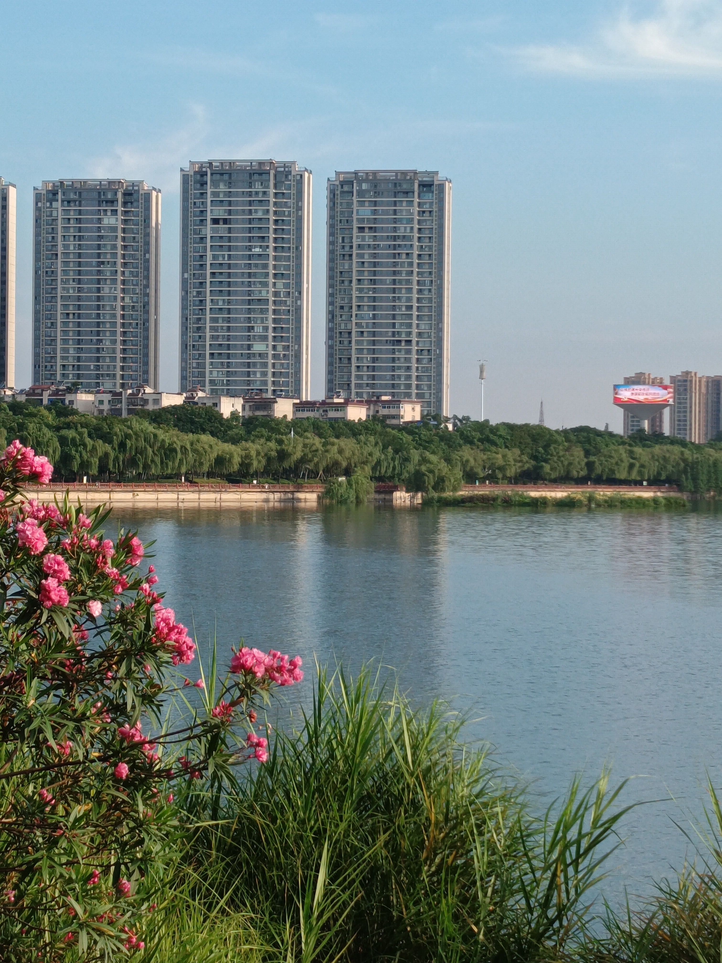 岳阳南湖花园图片