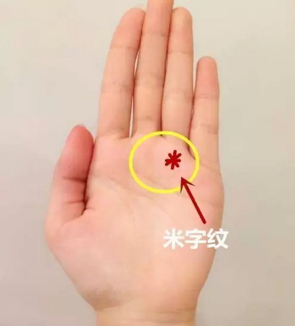 手掌无名指下方有米字或星字纹这样的纹路被称作金星纹,这样的人做事
