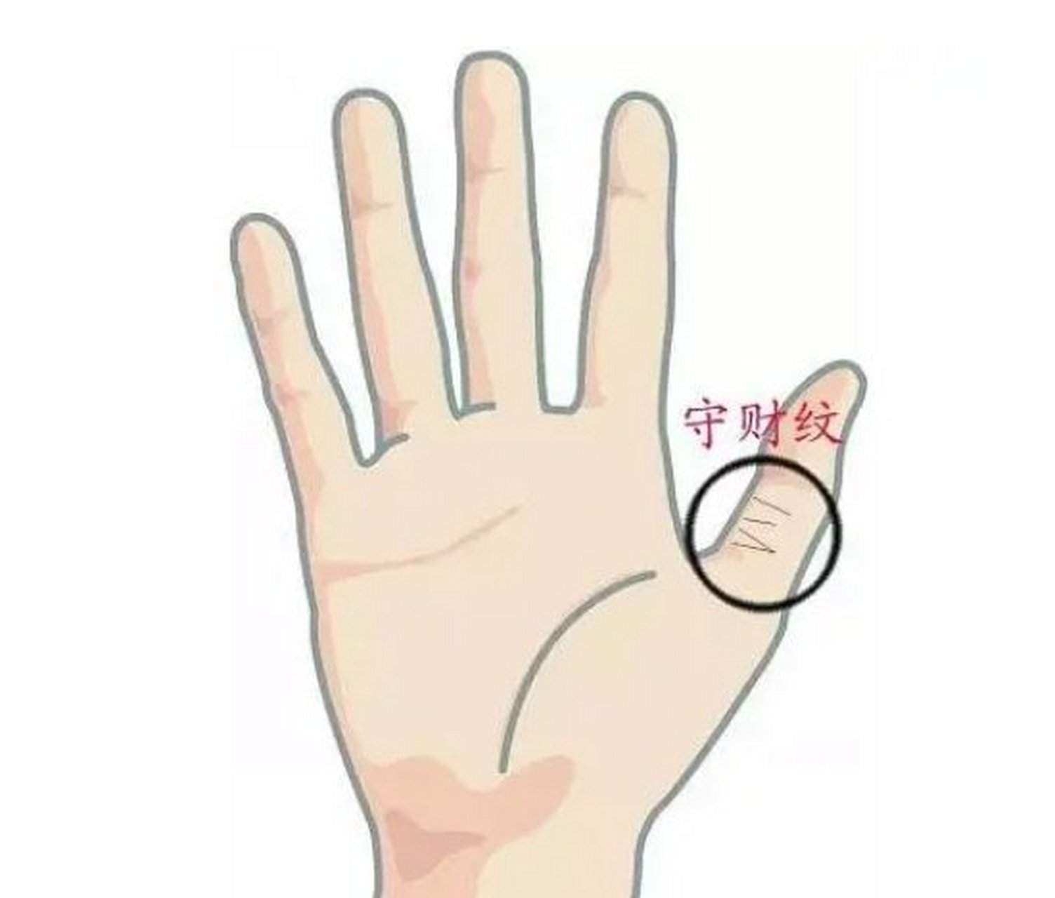 看守财纹  守财纹位置在手掌感情线的上端,有一条平行于感情线的纹就
